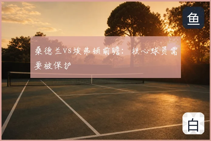 桑德兰vs埃弗顿前瞻：核心球员需要被保护
